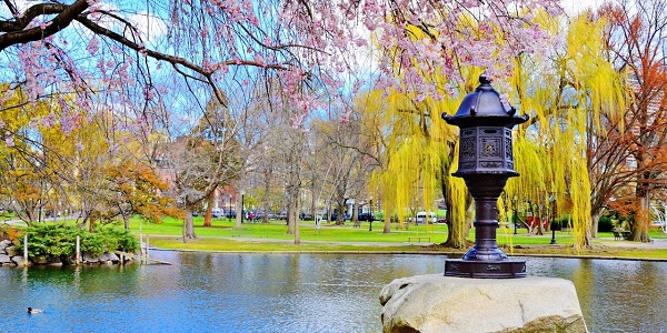 Boston'da Dünyanın en iyi parkları ve yeşil alanları