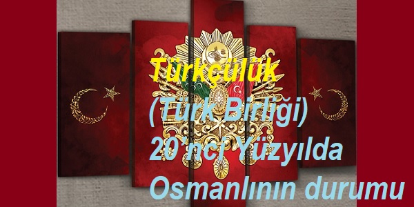 Türkçülük (Türk Birliği)-20’nci Yüzyılda Osmanlının durumu