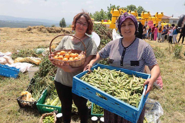 İzmit Dağköy’de araka hasat şenliği