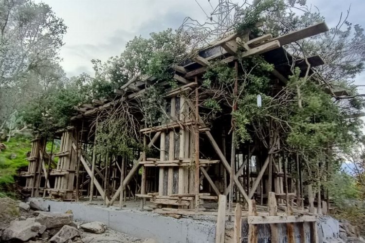 Bodrum’da kaçak inşaatı ağaç dallarıyla gizlemeye çalıştılar