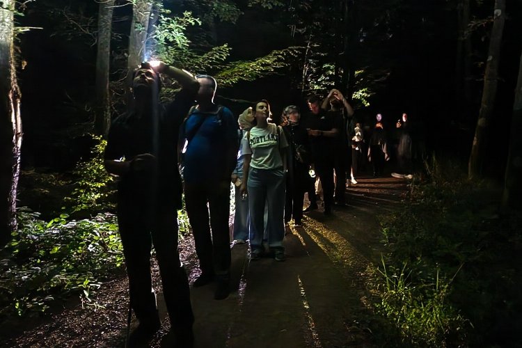 Ormanya’da macera dolu gece yürüyüşü… Yarasa dinletisi yapıldı