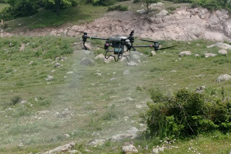 Manisa’da tarla çekirgelerine ‘drone’lu mücadele