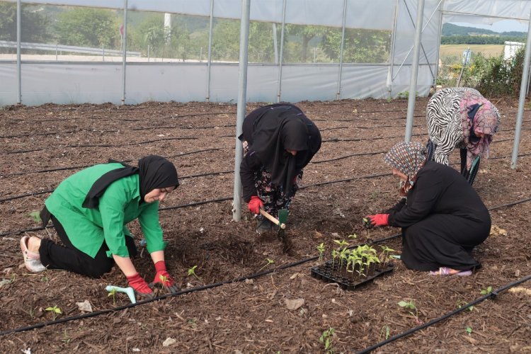 Kocaeli’den kadın girişimcilere tarımsal destek… Ata tohumları toprakla buluşturuldu