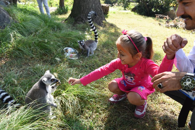 Bursalı çocuklara bayramı Hayvanat Bahçesi’nde