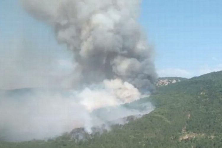 Bilecik kırsalındaki orman yangını kontrol altında